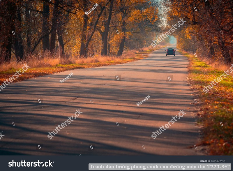 Tranh dán tường phong cảnh con đường mùa thu T321-357